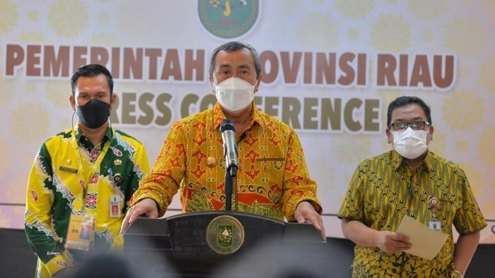Gubernur Riau, Syamsuar (Raja-detikcom)