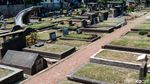 Jejak Makam Bersimbol Yahudi di Petamburan Jakarta