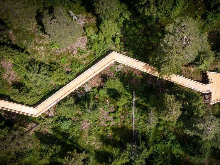 Foto: Ada di Swiss, Ini Jalan Setapak Terpanjang di Dunia