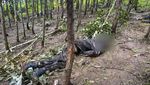 Konflik di Ethiopia, Mayat Dibiarkan Berserakan di Ladang