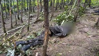 Terlihat sebuah mayat berseragam militer dibiarkan membusuk.
