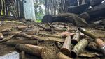 Konflik di Ethiopia, Mayat Dibiarkan Berserakan di Ladang