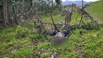 Konflik di Ethiopia, Mayat Dibiarkan Berserakan di Ladang