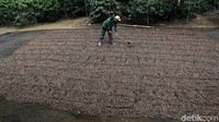 Salah satunya PT Bukit Asam (Persero) Tbk (PTBA), anggota anggota holding industri pertambangan Indonesia atau Mining Industry Indonesia (MIND ID), melalui program CSR-nya.   