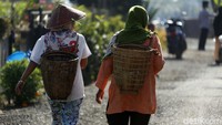 Pemberdayaan petani kopi dari PTBA ini sejalan dengan noble purpose MIND ID, yaitu We explore natural resources for civilization, prosperity and a brighter future.