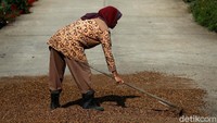 detikcom bersama MIND ID mengadakan program Jelajah Tambang berisi ekspedisi ke daerah pertambangan Indonesia. detikcom menyambangi kota-kota industri tambang di Indonesia untuk memotret secara lengkap bagaimana kehidupan masyarakat dan daerah penghasil mineral serta bagaimana pengolahannya. Untuk mengetahui informasi lebih lengkap, ikuti terus beritanya di detik.com/jelajahtambang.