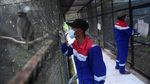 Melihat dari Dekat Pusat Konservasi Elang di Kamojang