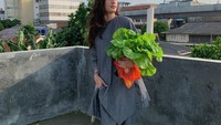 Duh cantiknya Nadine ketika berpose dengan sayuran. Ia mengatakan ingin membuat masakan untuk sang suami. Pokcoy di tangannya adalah hasil panen dari kebun. Uh so sweet! Foto: Instagram @nadinelist