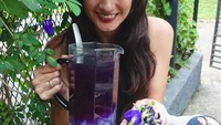 Nadine yang hobi traveling ini memang terkenal suka masak, dalam beberapa momen, ia menunjukkan aksi masaknya. Kali ini ia membuat minuman teh bunga telang yang warnanya ungu cantik. Foto: Instagram @nadinelist