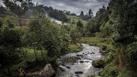 Ironisnya, Kenya dikenal sebagai destinasi memancing top di dunia. Banyak wisatawan datang dari seluruh dunia untuk memancing di sungai dataran tinggi dan danau kaki gunung Kenya, terutama di Lembah Mathioya yang sangat cantik ini. (Luis Tato/AFP)