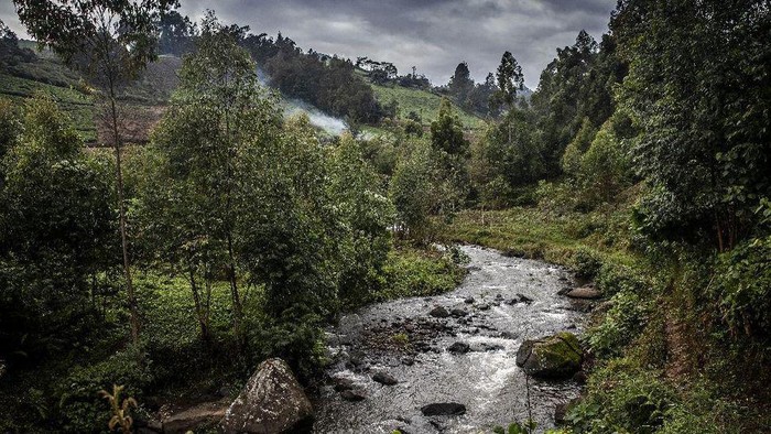 Pemancing Kenya