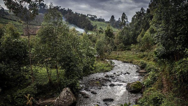 Ironisnya, Kenya dikenal sebagai destinasi memancing top di dunia. Banyak wisatawan datang dari seluruh dunia untuk memancing di sungai dataran tinggi dan danau kaki gunung Kenya, terutama di Lembah Mathioya yang sangat cantik ini. (Luis Tato/AFP) Ironisnya, Kenya dikenal sebagai destinasi memancing top di dunia. Banyak wisatawan datang dari seluruh dunia untuk memancing di sungai dataran tinggi dan danau kaki gunung Kenya, terutama di Lembah Mathioya yang sangat cantik ini. (Luis Tato/AFP)