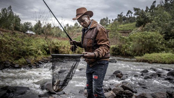 Padahal Kenya punya klub memancing tertua di Afrika. Namanya Klub Kenya Fly Fishers, yang telah berusia 102 tahun di Mathioya. Klub ini telah menyambut lebih banyak anggota warga asli Kenya karena minat telah tumbuh. Mereka juga telah memilih ketua kulit hitam pertamanya pada tahun 2018. (Luis Tato/AFP) Padahal Kenya punya klub memancing tertua di Afrika. Namanya Klub Kenya Fly Fishers, yang telah berusia 102 tahun di Mathioya. Klub ini telah menyambut lebih banyak anggota warga asli Kenya karena minat telah tumbuh. Mereka juga telah memilih ketua kulit hitam pertamanya pada tahun 2018. (Luis Tato/AFP)
