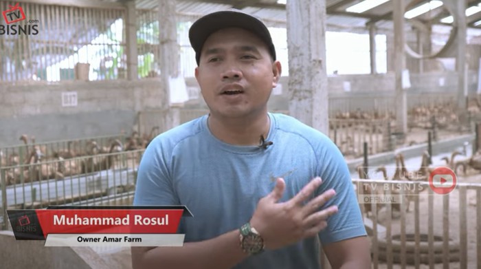 Pulang Kampung, Pria Ini Sukses Jadi Peternak Bebek yang Jual 200 Ribu Butir Telur Sebulan