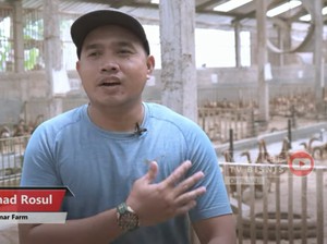 Pulang Kampung, Pria Ini Sukses Jadi Peternak Bebek yang Jual 200 Ribu Butir Telur Sebulan
