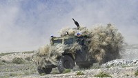 Latihan gabungan ini diberi nama Rubezh-2021. Diketahui, Afghanistan berbatasan langsung dengan Kyrgystan, Tajikistan, Uzbekistan, Turkmenistan, Pakistan, China dan Iran.