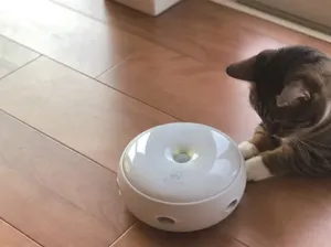 Pencinta Kucing Wajib Tahu! Robot Bulu Penghibur Kucing dari Jepang