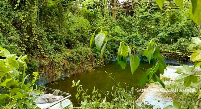 Di halaman belakang juga terdapat kolam renang yang kini hanya terisi air keruh kehijauan. (Foto: YouTube/Sang Penjelajah Amatir)