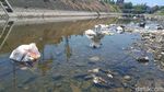 Belum Usai soal Ribuan Ikan Mati, Sungai Dengkeng Kini Penuh Sampah