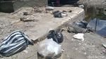Belum Usai soal Ribuan Ikan Mati, Sungai Dengkeng Kini Penuh Sampah