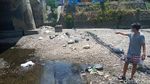 Belum Usai soal Ribuan Ikan Mati, Sungai Dengkeng Kini Penuh Sampah