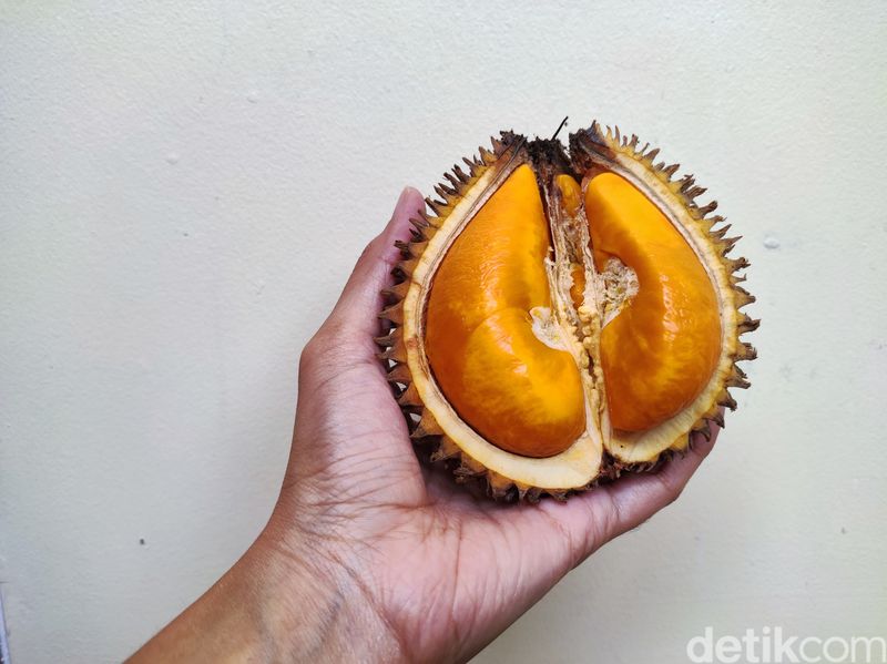 Berburu Buah Lai di Jakarta, Durian Oranye yang Enak dan Kaya Manfaat