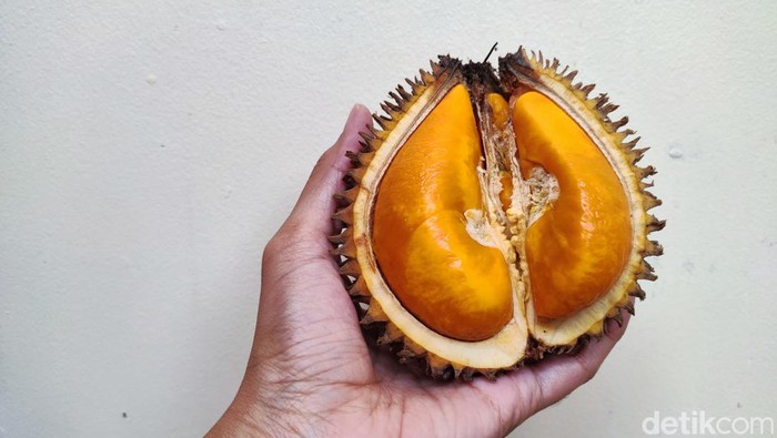 Berburu Buah Lai di Jakarta, Durian Oranye yang Enak dan Kaya Manfaat