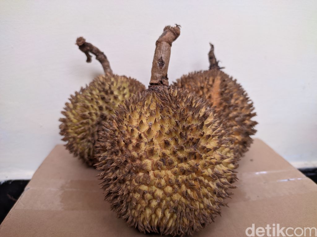 Berburu Buah Lai di Jakarta, Durian Oranye yang Enak dan Kaya Manfaat