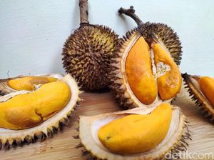 Berburu Buah Lai di Jakarta, Durian Oranye yang Enak dan Kaya Manfaat