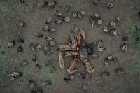 Drone Photo Awards 2021
