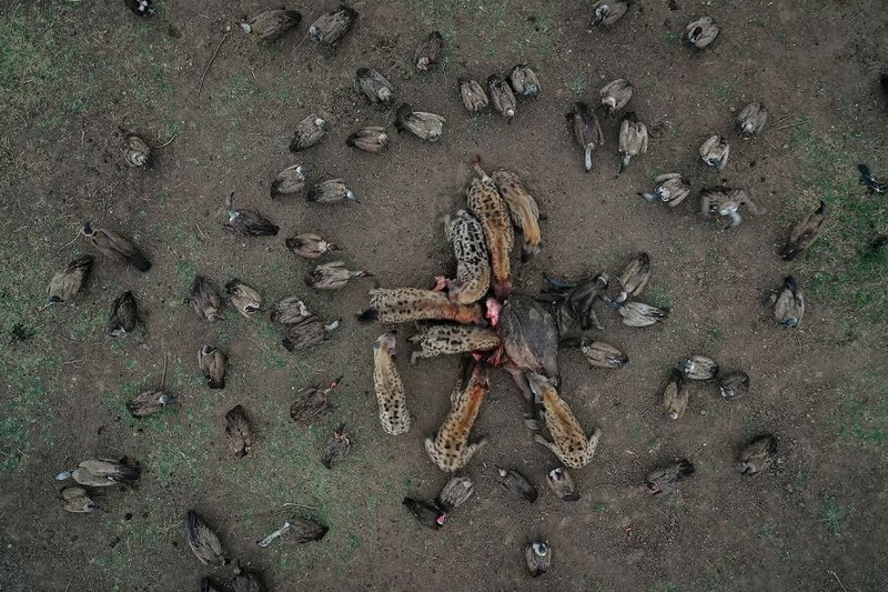 Drone Photo Awards 2021