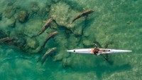 Drone Photo Awards 2021