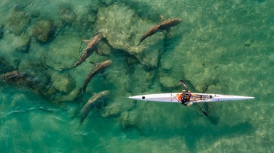 Karya Jawara Drone Photo Award 2021 Bikin Mata Terkesima