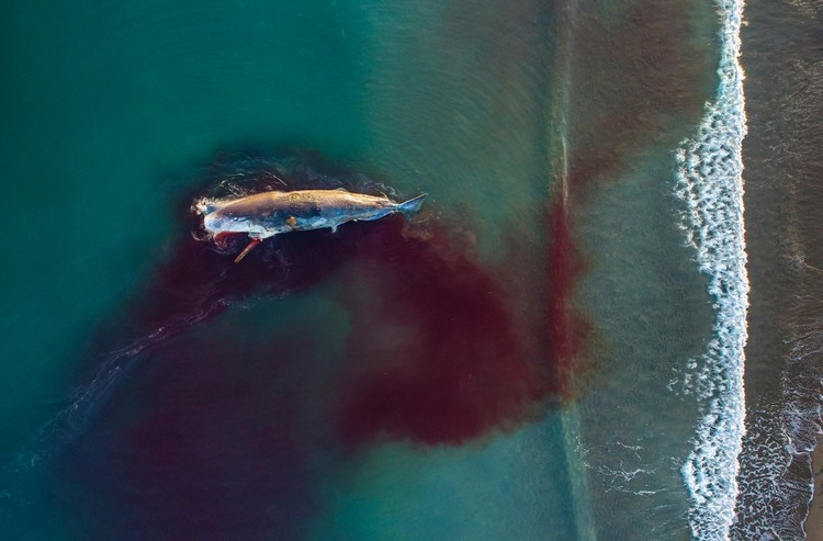 Drone Photo Awards 2021