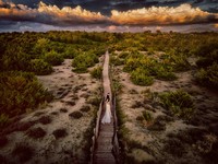 Drone Photo Awards 2021