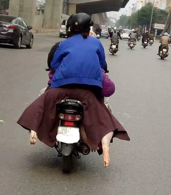 Foto yang satu ini sih benar-benar menipu dan sukses bikin bingung. Yang jelas kaki yang menjuntai ke belakang itu bukan kaki manusia sih.. Foto: Instagram/@sukijan.id