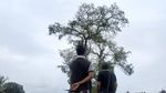 Potret Lokasi Burung-burung Pipit Berjatuhan Misterius di Bali