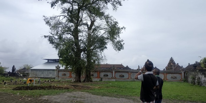 Lokasi burung-burung pipit berjatuhan di Bali