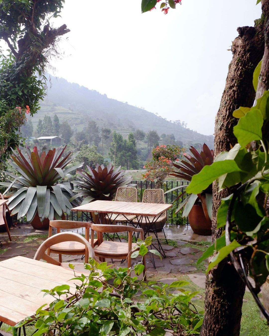 Mau Ngadem? 5 Restoran di Puncak yang Instagramable Ini Bisa Jadi Pilihan