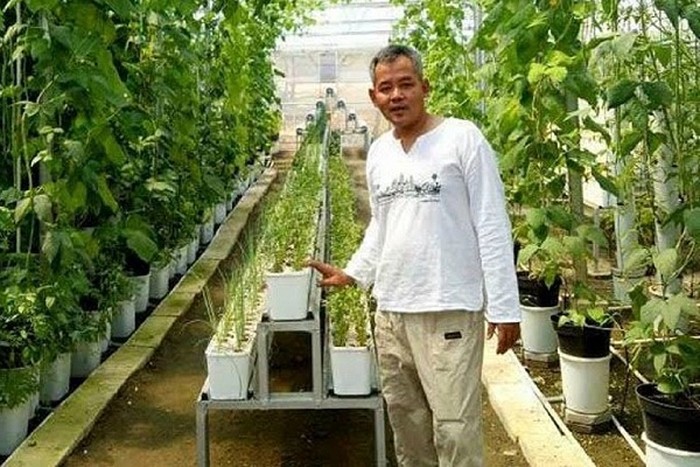 Daun Kelor Sering Dianggap Mistis, Pengusaha Ini Justru Raup Omzet Miliaran!