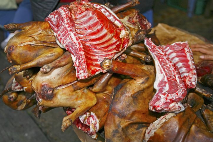 5 Cara Membedakan Daging Anjing dan Daging Sapi Supaya Tak Tertipu