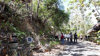 Dinas Pariwisata (Dispar) Provinsi DI Yogyakarta kemudian mengajukan pergantian objek wisata dari Watu Lumbung menjadi Hutan Pinus Sari Mangunan. (Pradito Rida Pertana/detikTravel)