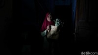 Yuk tertarik bertani di tengah ibu kota Detikers