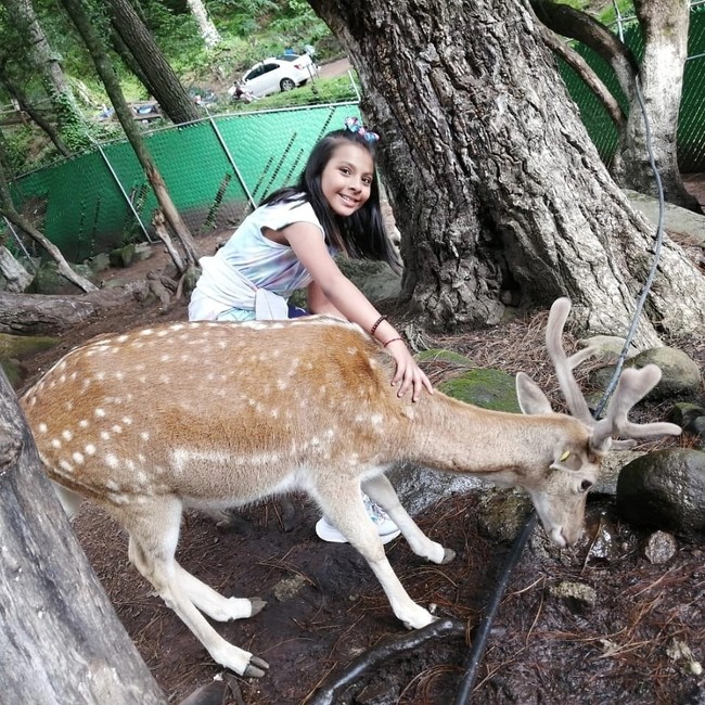 Sang ibu, Nallely Sanchez, kemudian memutuskan untuk mencari pendidikan yang lebih tepat untuk anaknya saat Adhara mengatakan tak mau lagi sekolah. Ketika itu, baru diketahui bahwa IQ-nya mencapai 162, 2 poin di atas fisikawan Albert Einstein. Foto: Instagram @adhara_perez11