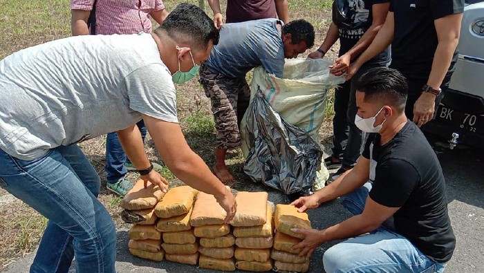 Bawa Ganja 30 Kg, Pria di Medan Ditangkap Polisi (Foto: dok Polda Sumut)