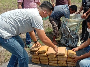 Bawa Ganja 30 Kg, Pria di Medan Ditangkap Polisi