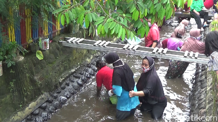 emak-emak lomba tangkap ikan