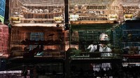 Hampir segala jenis burung peliharaan tersedia di Pasar Burung Pramuka.