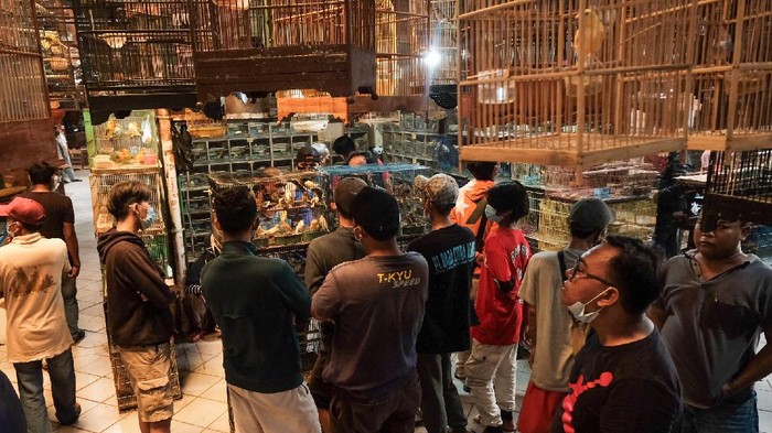 Geliat Pasar Burung Pramuka yang Ramai Saat Akhir Pekan Pasar Burung Pramuka tetap bergeliat saat Jakarta berstatus PPKM level 3. Warga ramai mendatangi Pasar Burung Pramuka pada akhir pekan.