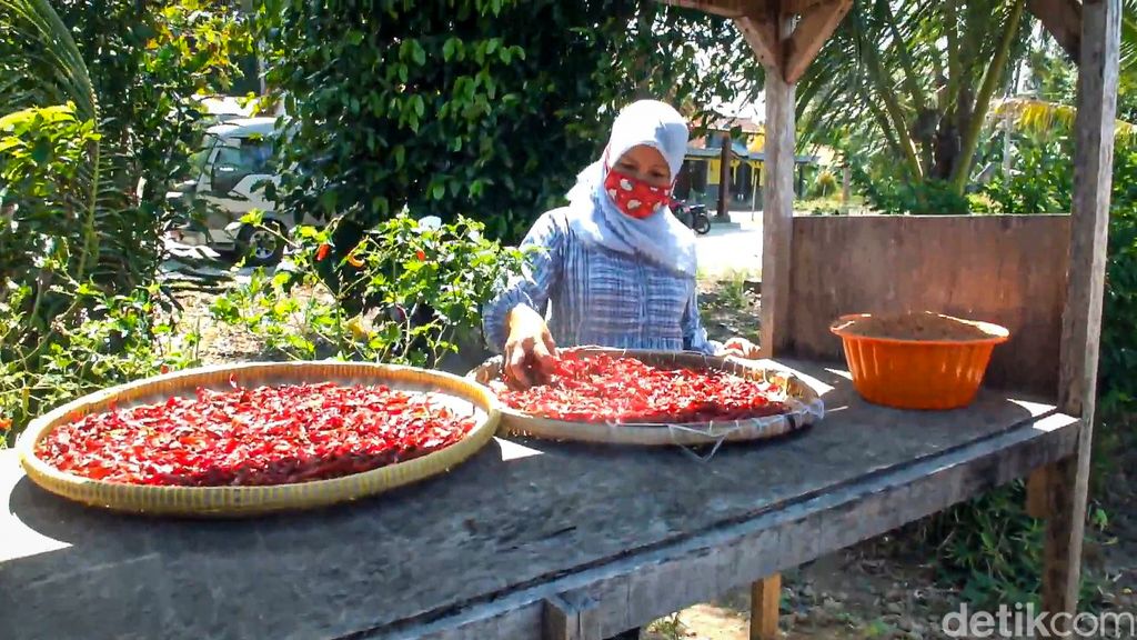 Harga Cabe Anjlok Kelompok Petani Wanita Ini Olah Cabe Jadi Abon dan Sambal